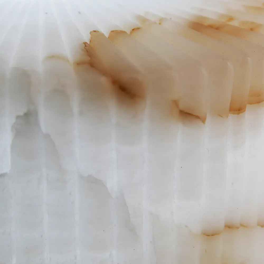 Alabaster Ribbed Dish Wall Diffuser - 8 Inch - Image 3