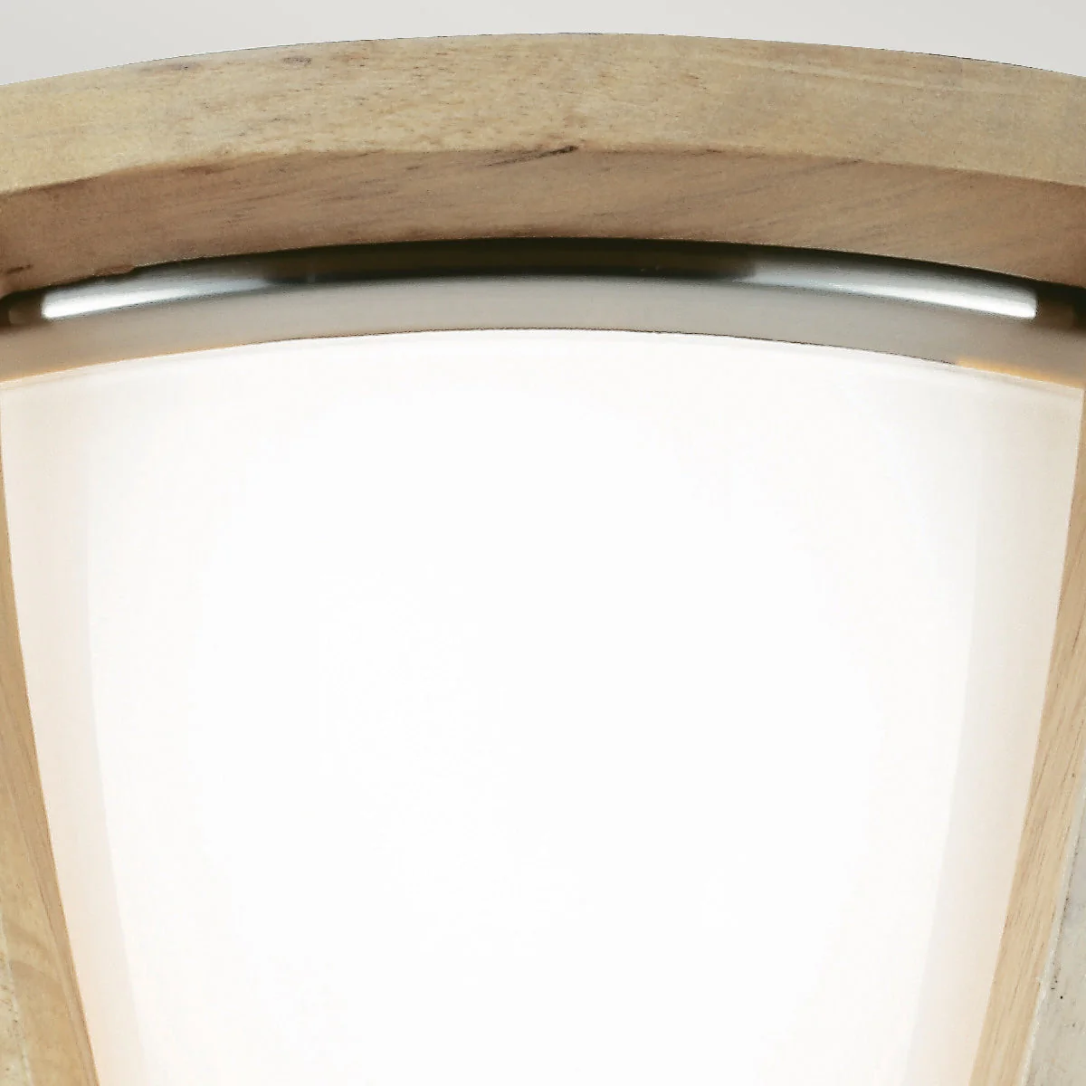 Allier 2 Light Flush Light - Image 4