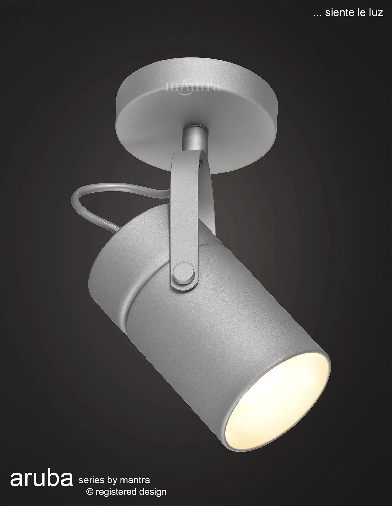 Aruba 1Lt Small/Large Single Spotlight E27 - White/Silver - Image 3