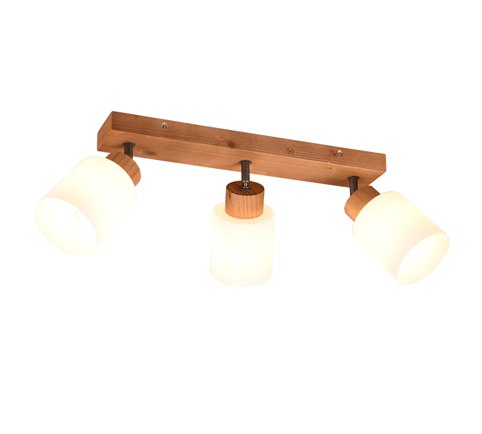 Assam 2/3/4Lt Bar Spotlight - Image 2