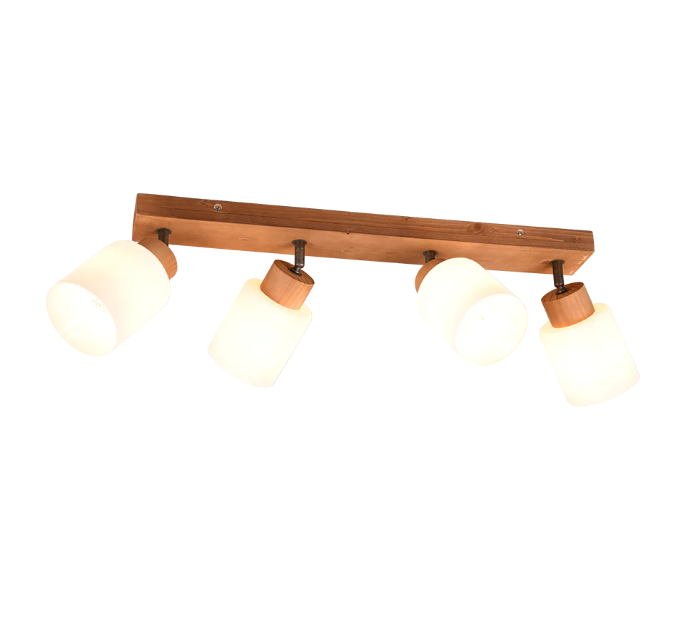 Assam 2/3/4Lt Bar Spotlight - Image 3