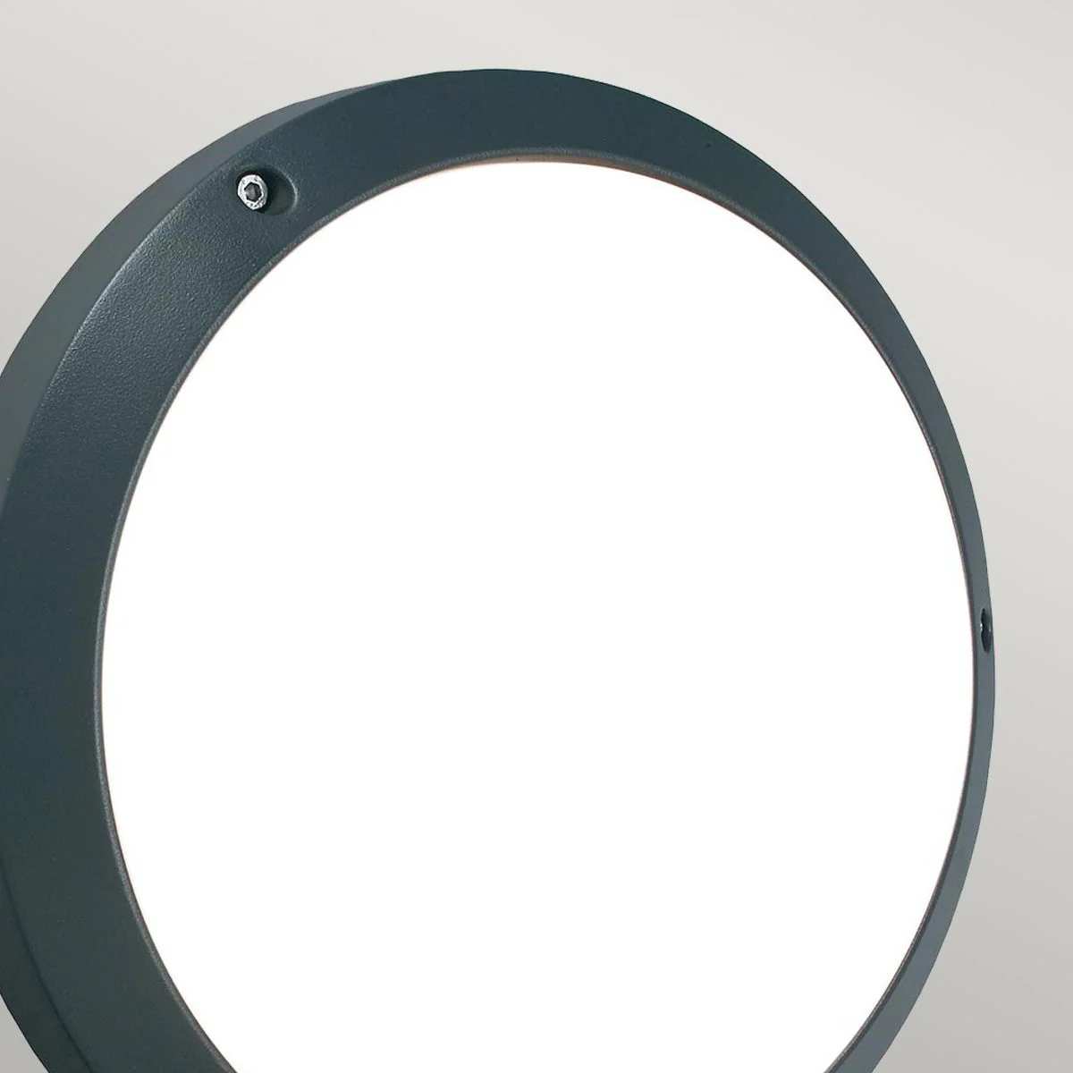 Bornholm LED Wall/Ceiling Light - Graphite - Image 2