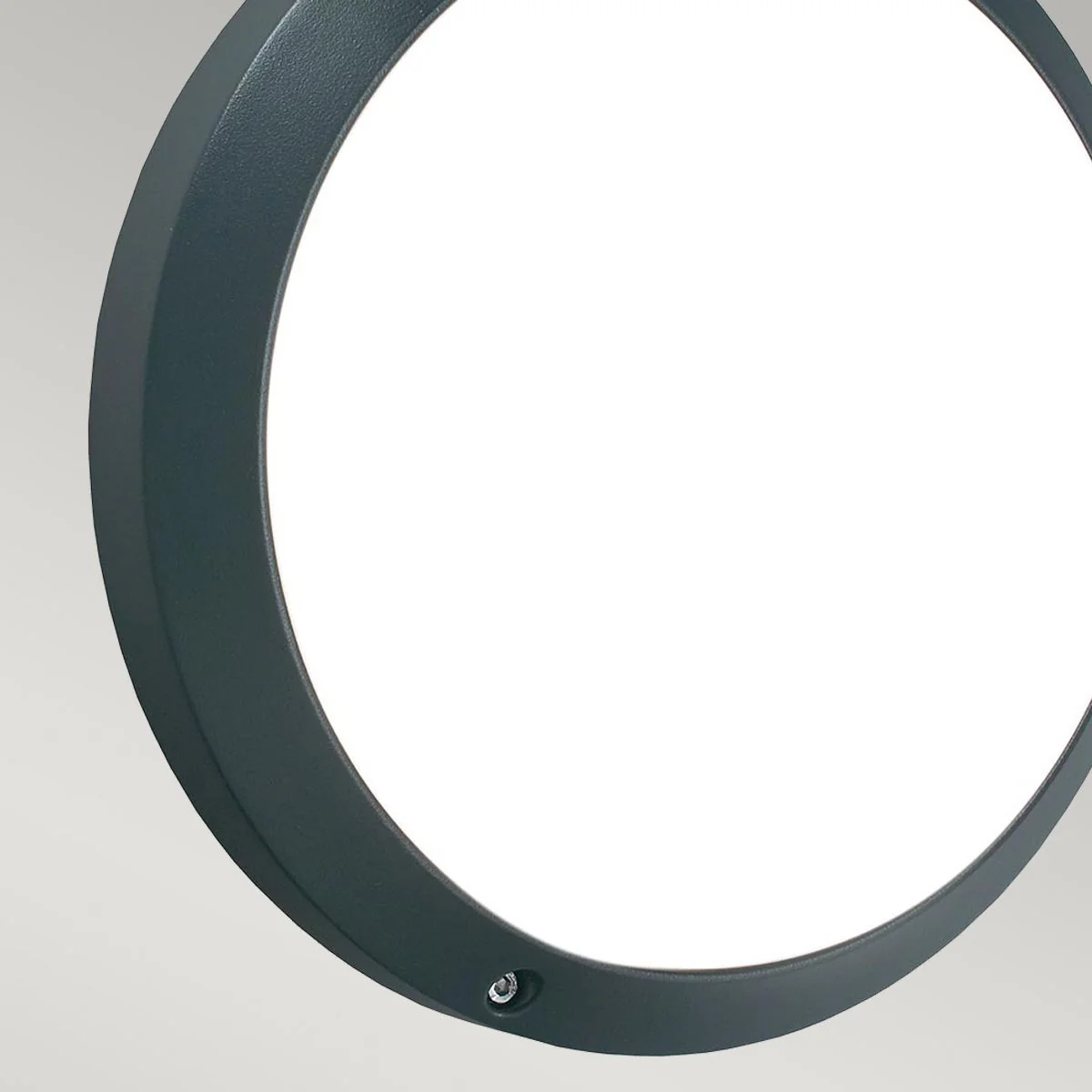 Bornholm LED Wall/Ceiling Light - Graphite - Image 3