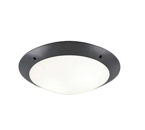 Camaro Outdoor Ceiling Light- Black/ White Finish - Image 2