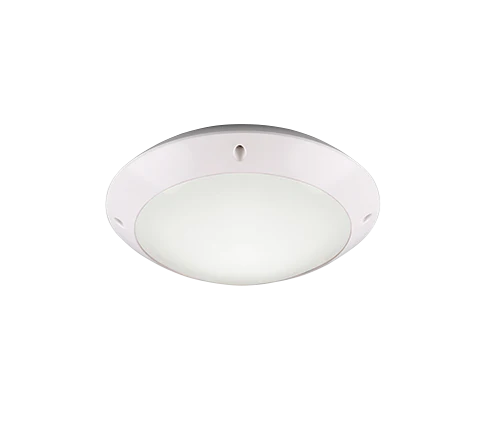 Camaro Outdoor Ceiling Light- Black/ White Finish - Image 3