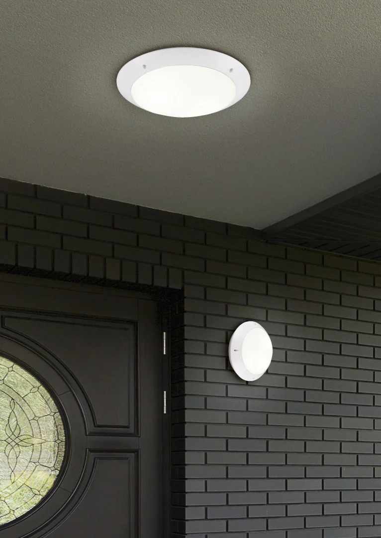 Camaro Outdoor Ceiling Light- Black/ White Finish - Image 4