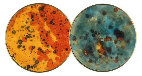 Chamaleon Wall Light- Various Finishes - Image 21