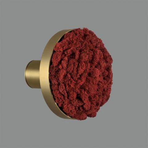 Chamaleon Wall Light- Various Finishes - Image 3
