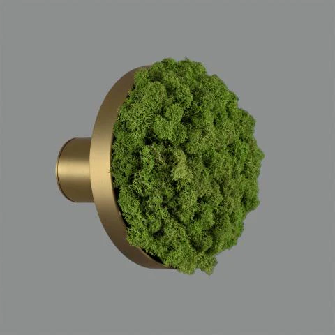 Chamaleon Wall Light- Various Finishes - Image 42
