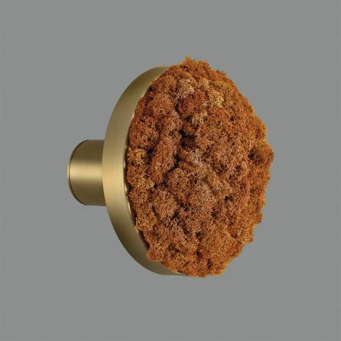 Chamaleon Wall Light- Various Finishes - Image 45