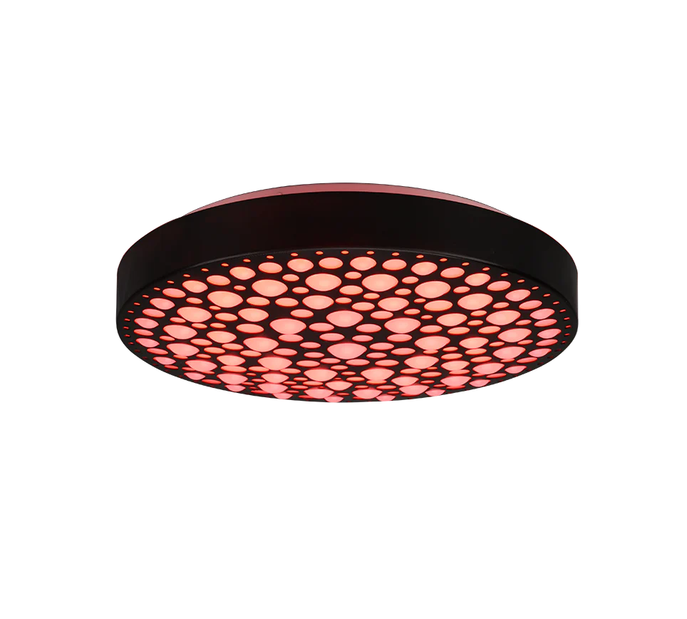 Chizu Ceiling lamp- Black Finishes - Image 4