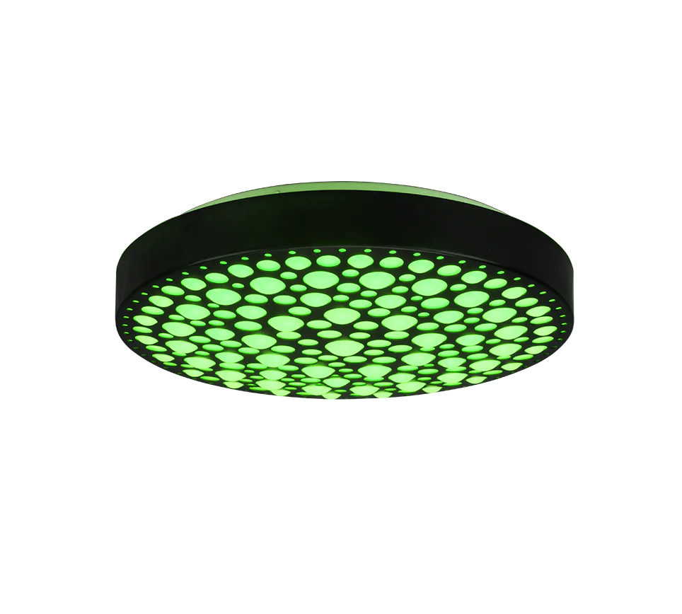 Chizu Ceiling lamp- Black Finishes - Image 5