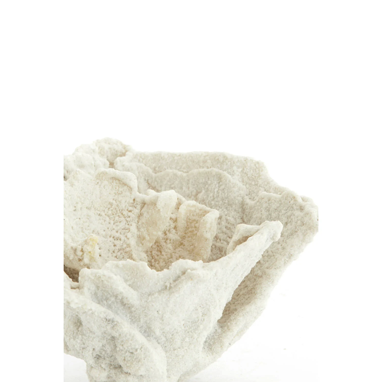 Coral Ornament - Cream - Image 2