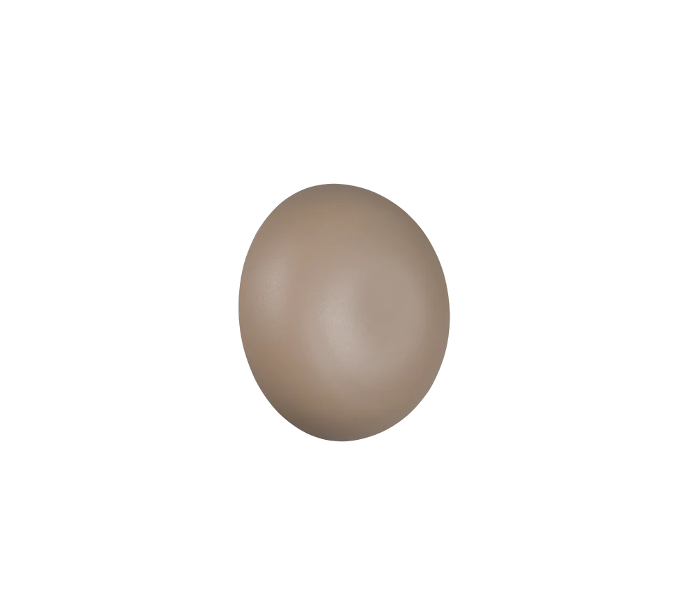 Davey Wall Light- Various Colors - Image 2