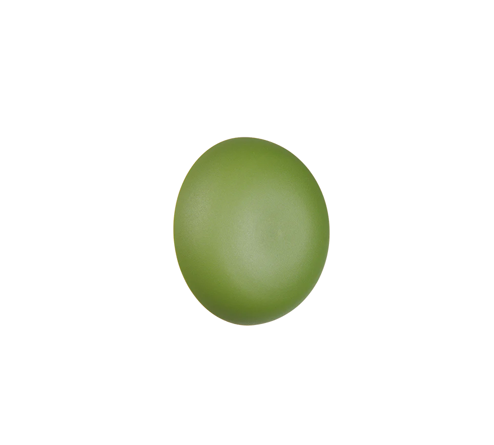 Davey Wall Light- Various Colors - Image 4