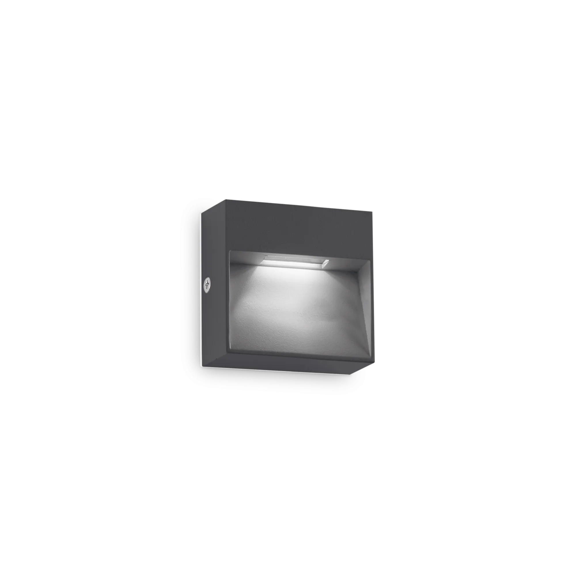 Dedra Wall Light- Anthracite/ Brown/ White Finishes - Image 5