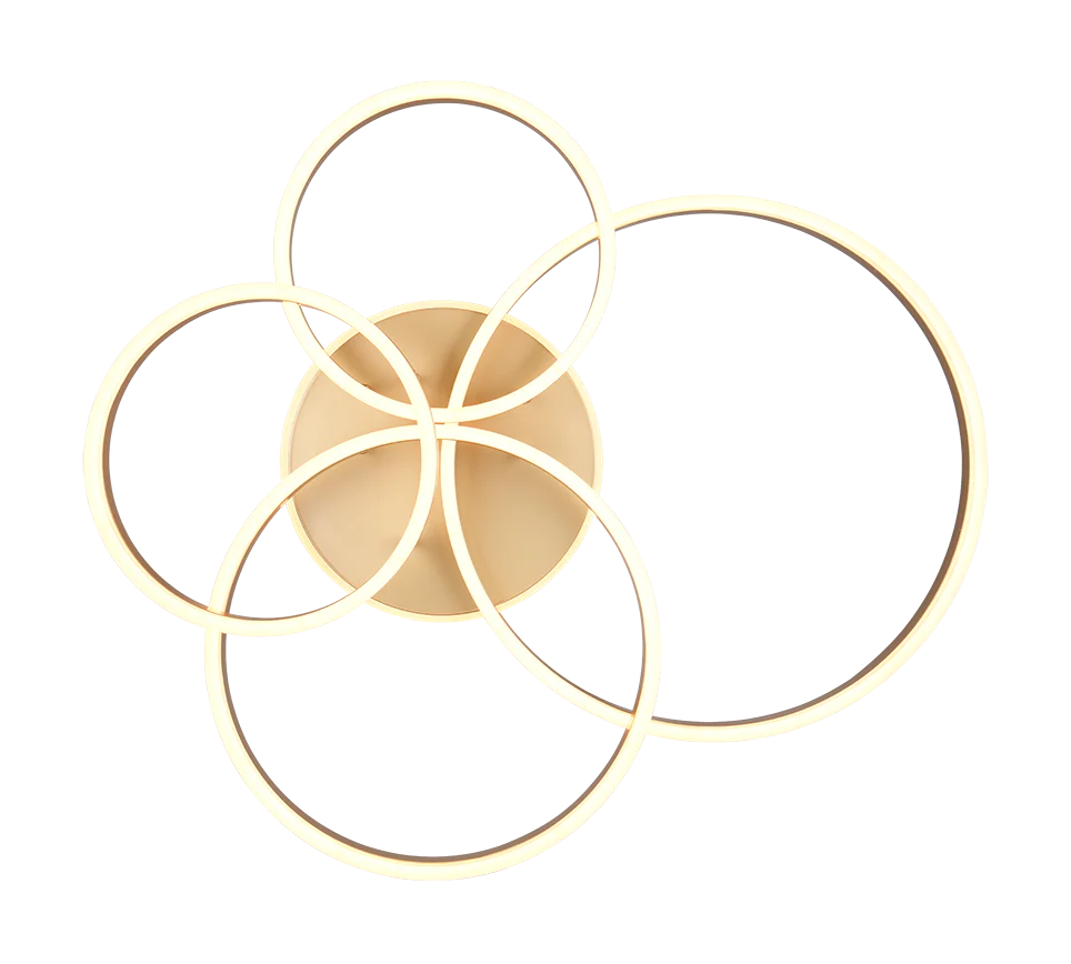 Drake Ceiling Lamp - Image 13