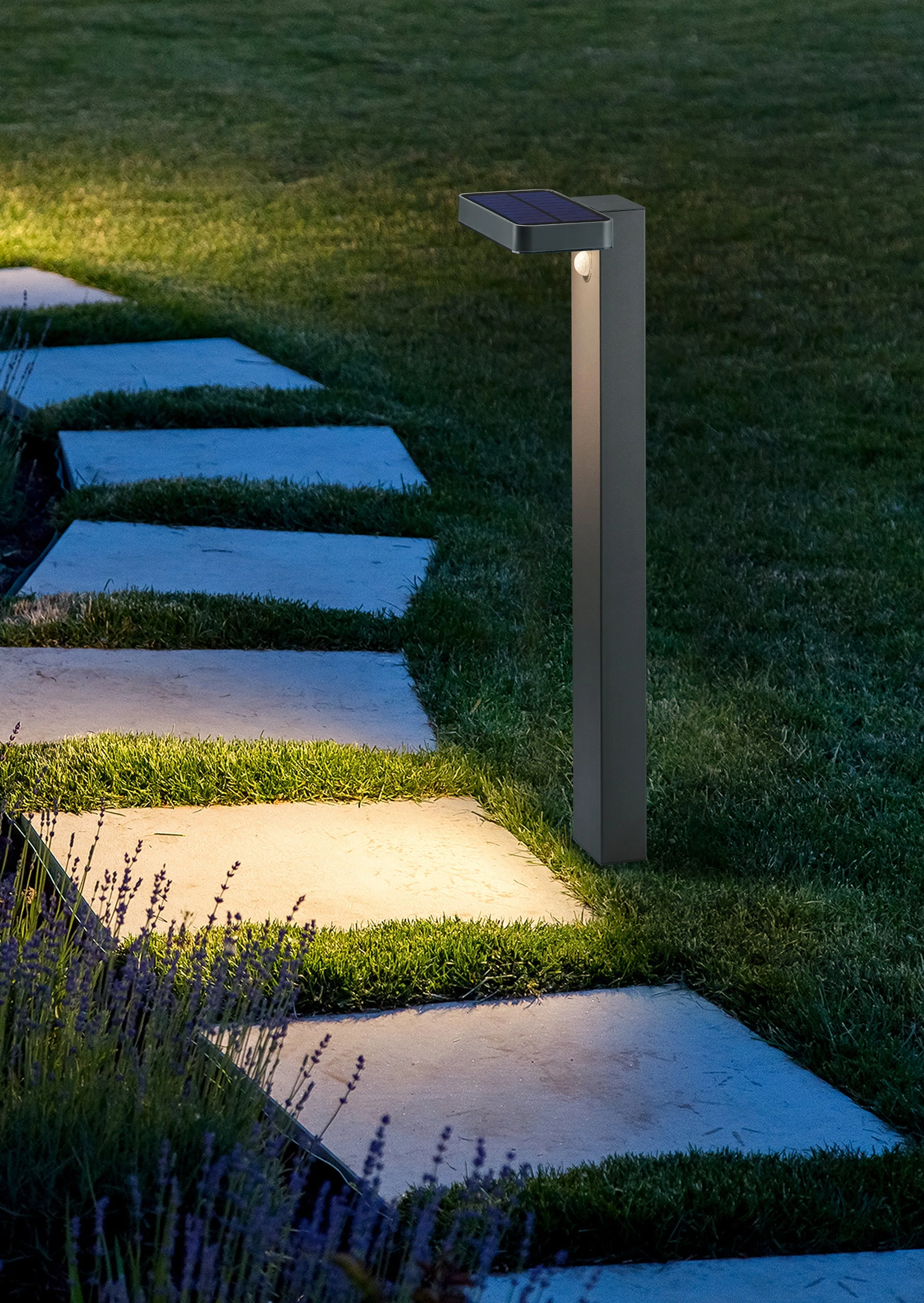 Esquel LED Solar Pole - Image 3