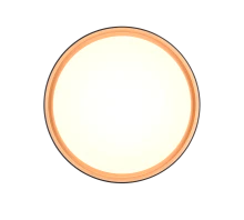 Felis Ceiling Light Black - Gold Finish - Image 2