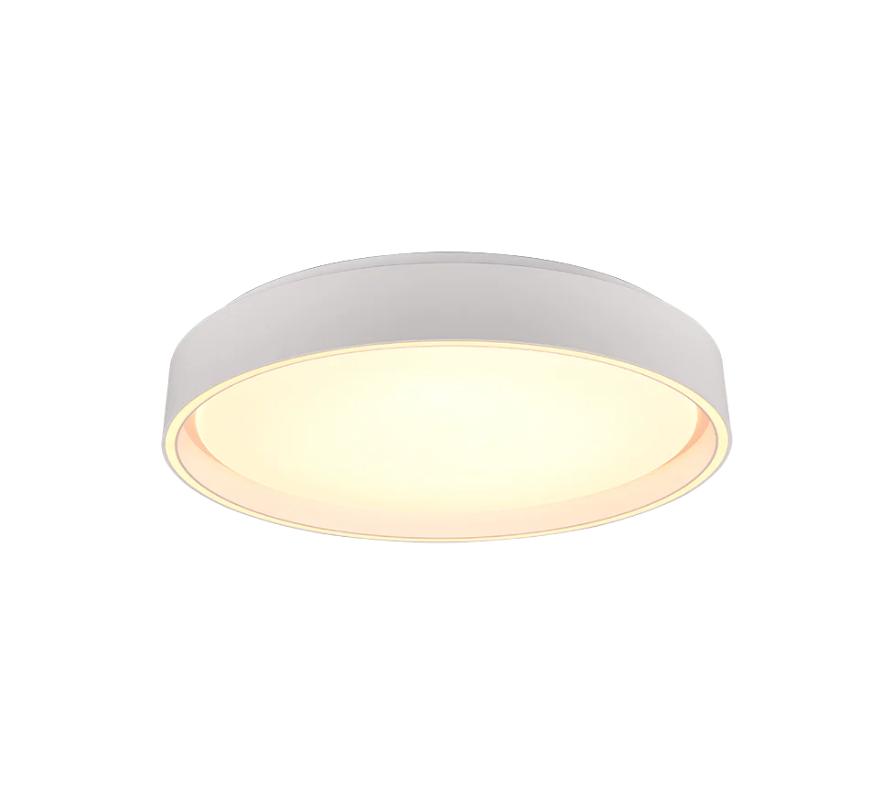 Felis Ceiling Light Black - Gold Finish - Image 4