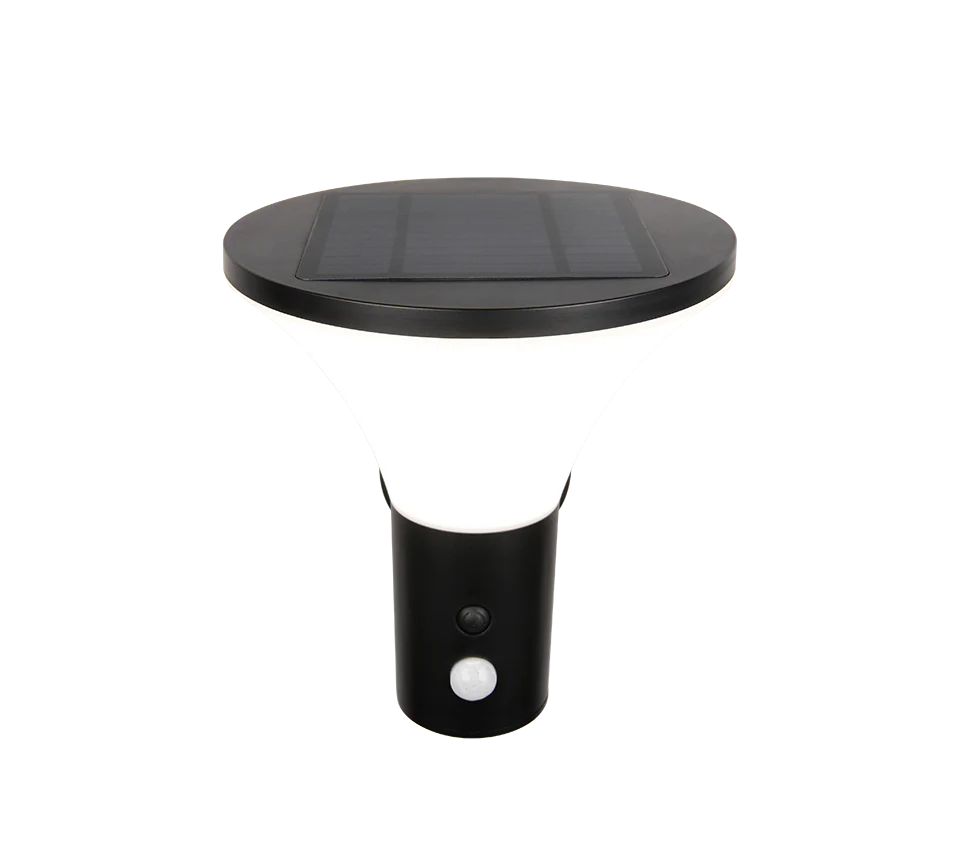 Gorda Wall Light - Image 2