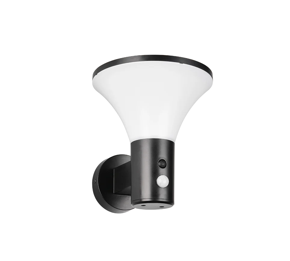 Gorda Wall Light - Image 6