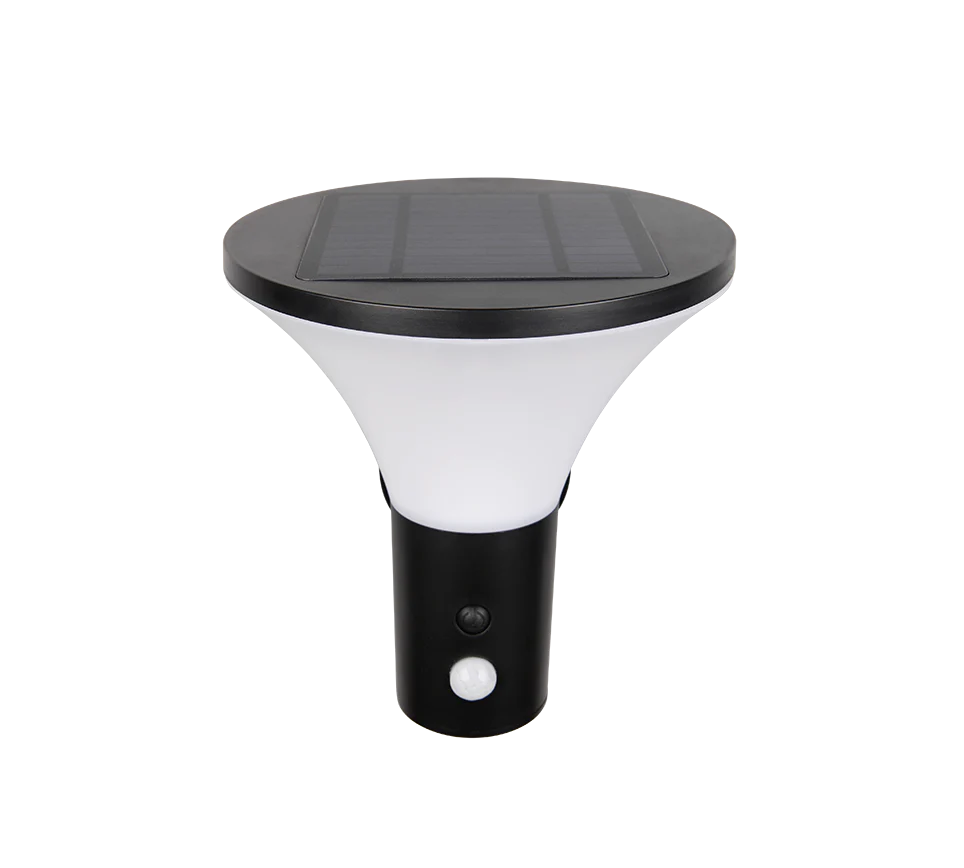 Gorda Wall Light - Image 7