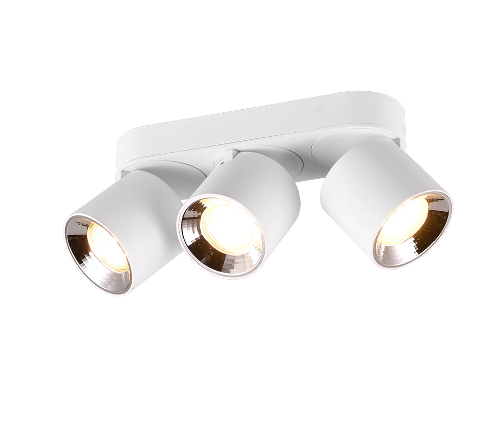 Guayana 2/3Lt Flush Ceiling Lights  - Various Size/Colours - Image 6
