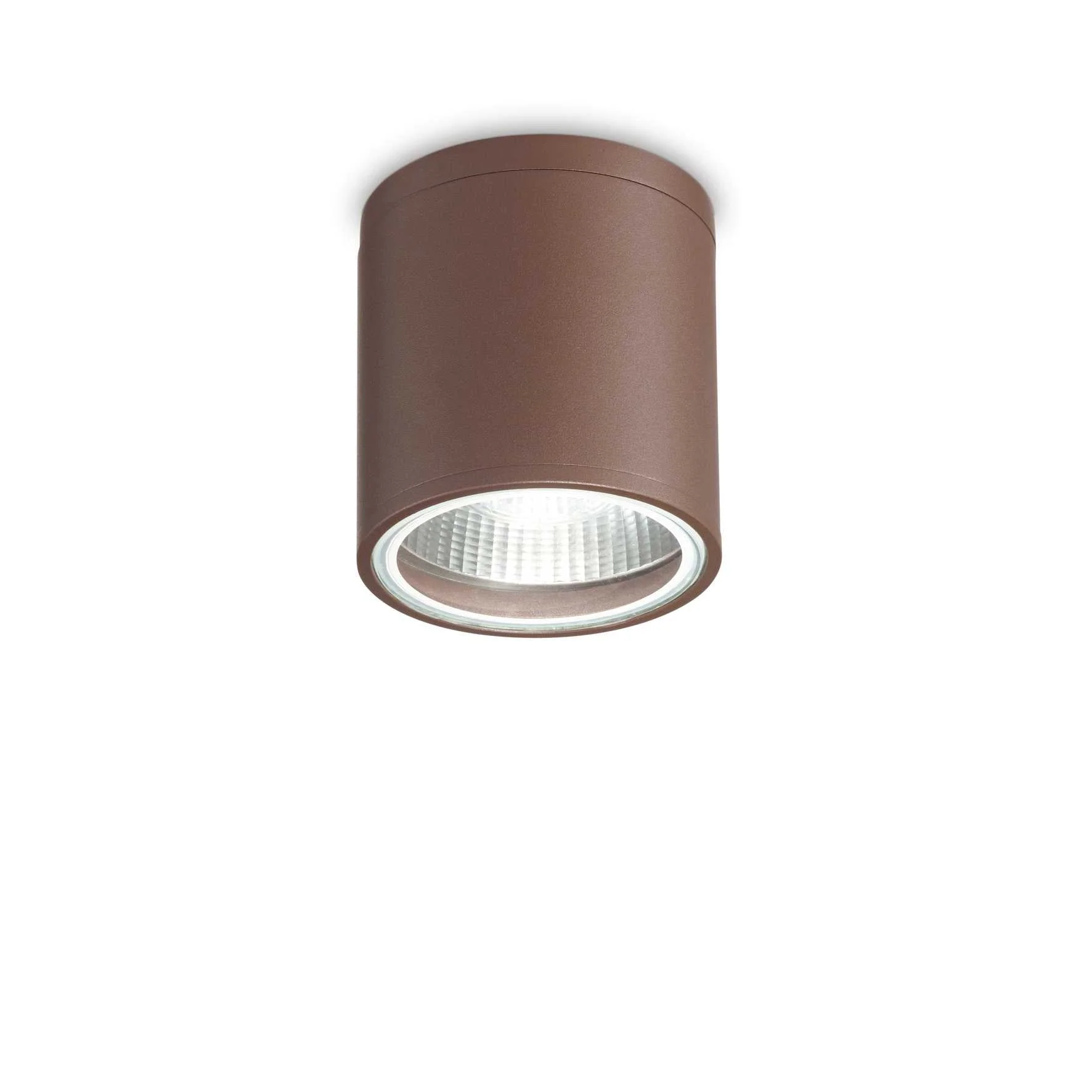 Gun Flush Ceiling light- Various Finish - Image 3