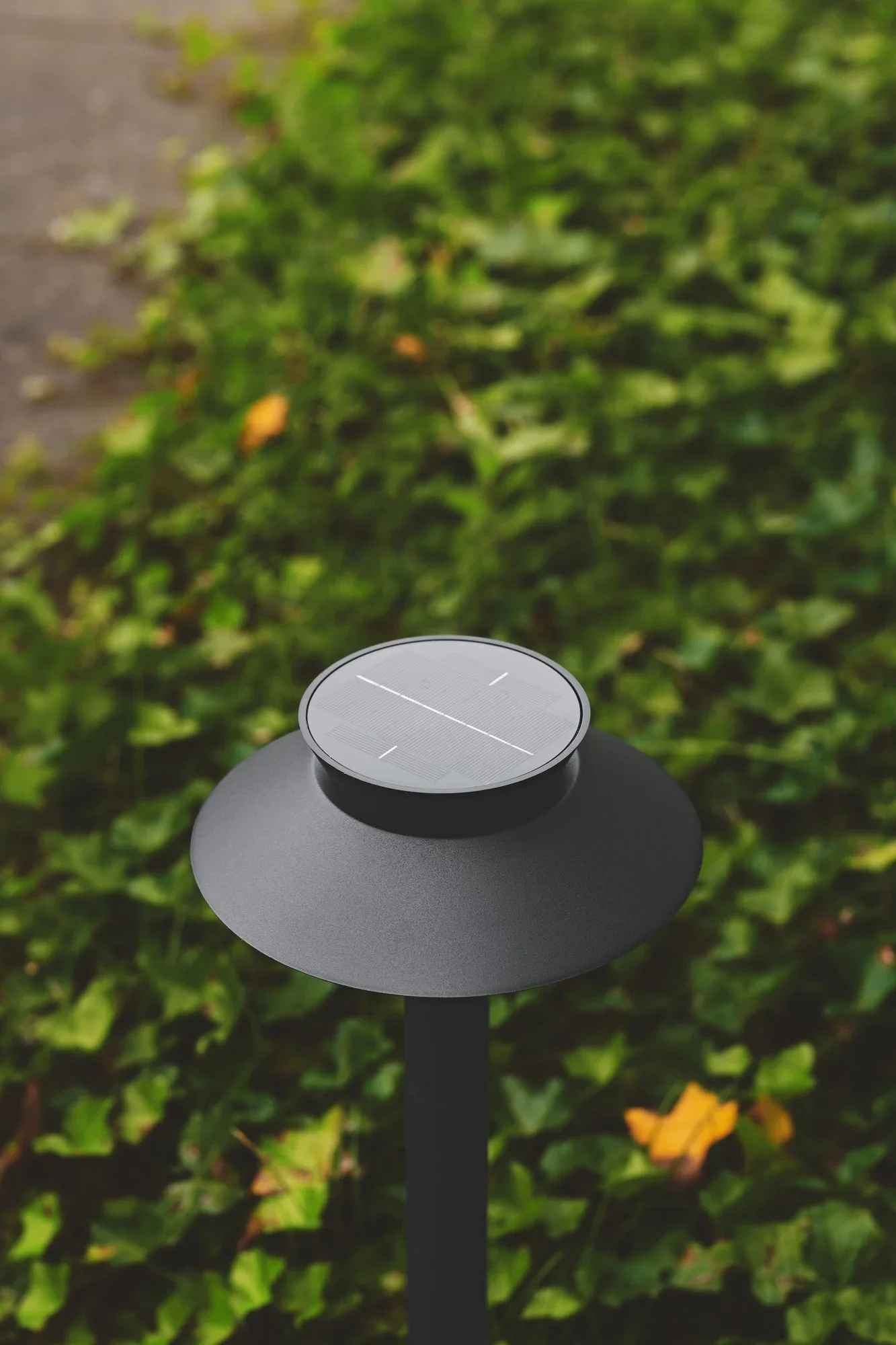Justina Solar Garden Light- Anthracite/ Black - Image 11