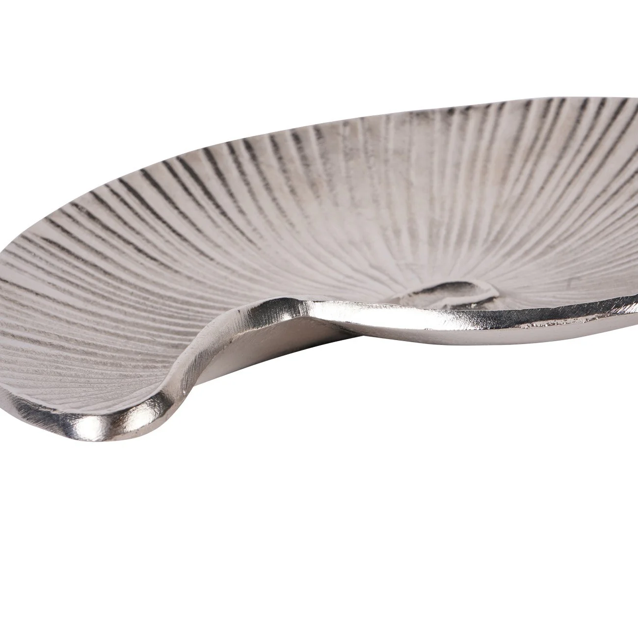 Albury Seashell Decor Bowl - Image 4