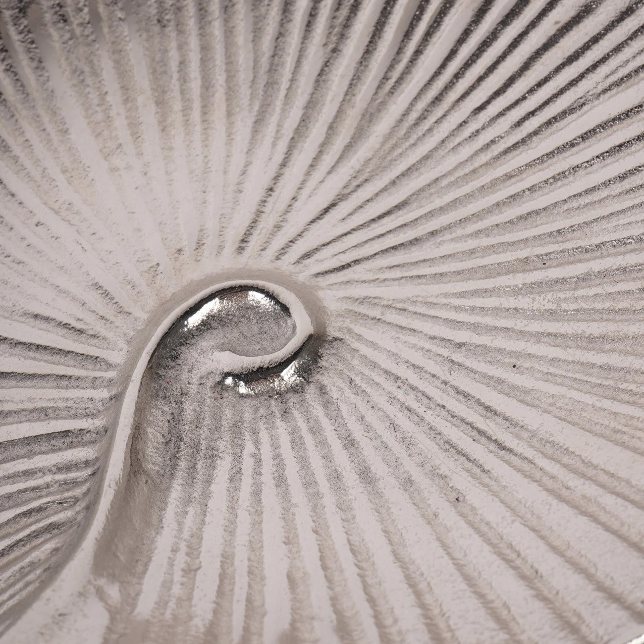 Albury Seashell Decor Bowl - Image 5