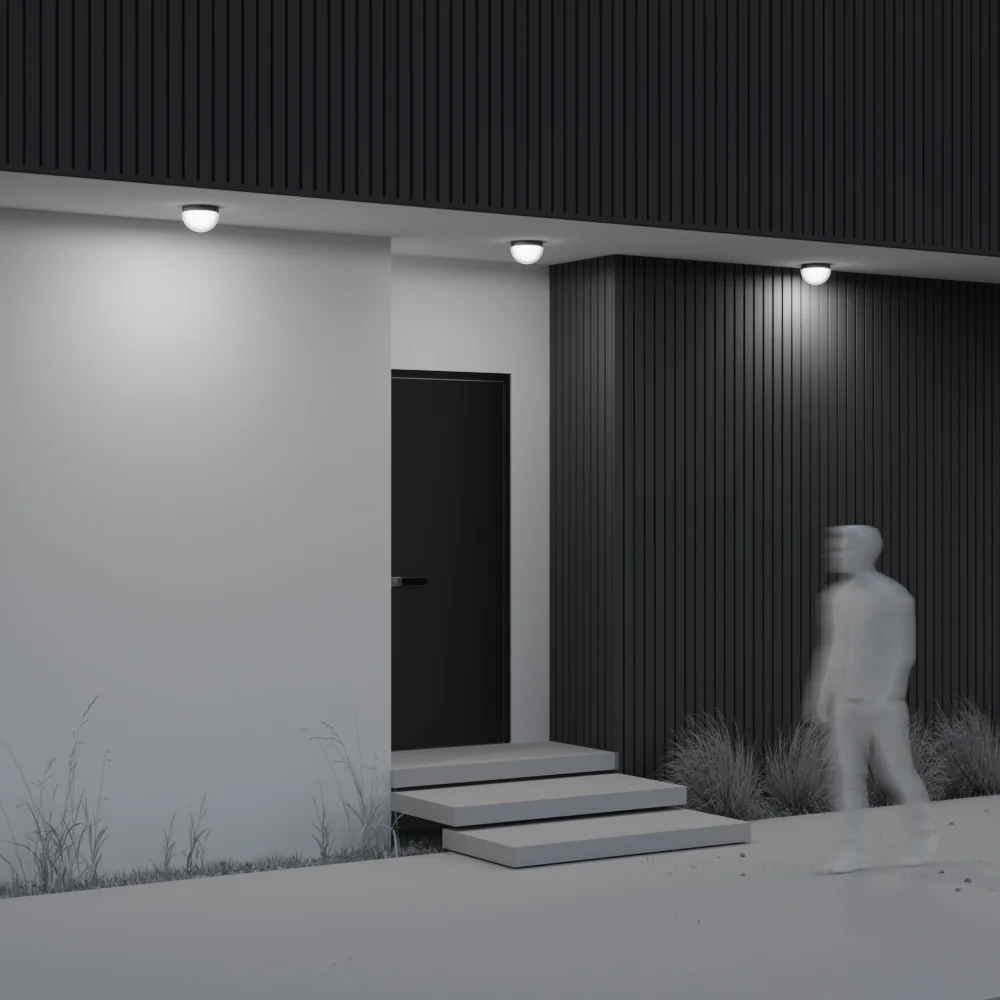 Mon Outdoor Ceiling Light - Image 4