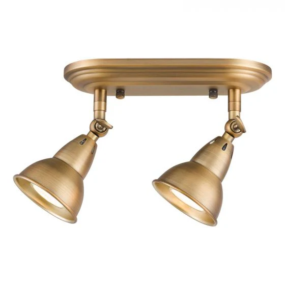 Nathaniel  2Lt Plate Spotlight - Aged Brass - Image 2
