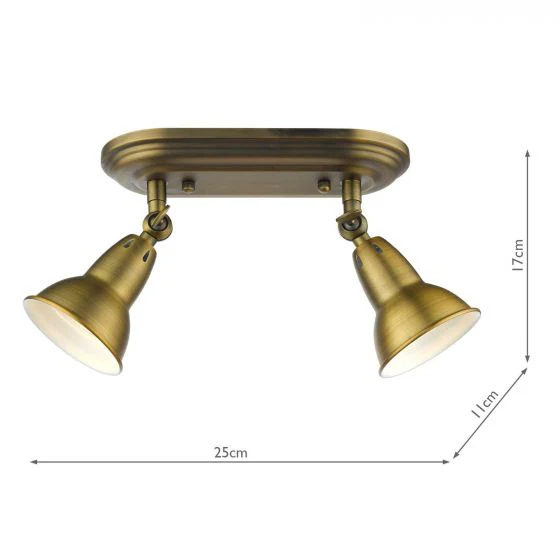 Nathaniel  2Lt Plate Spotlight - Aged Brass - Image 3