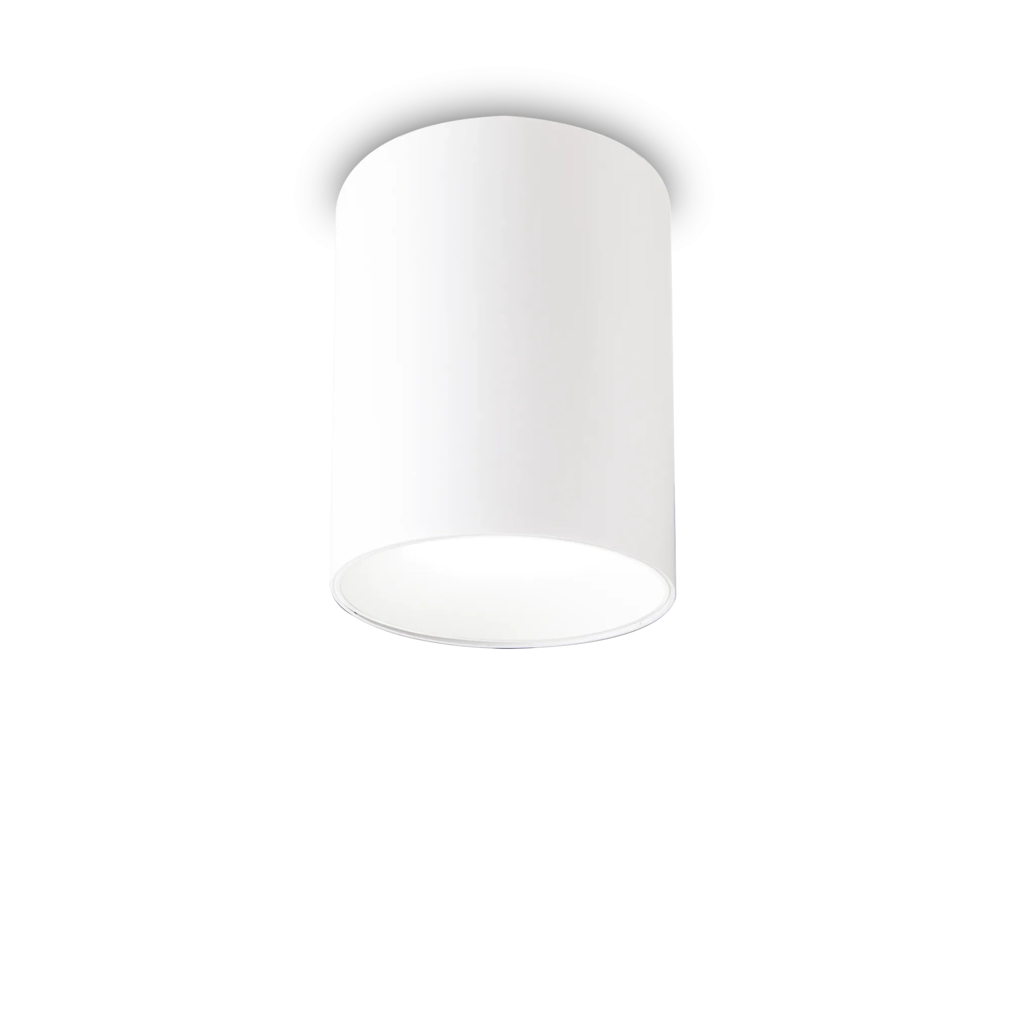 Nitro 1Lt Small/Large Round Spotlight IP20  - Black/White - Image 10