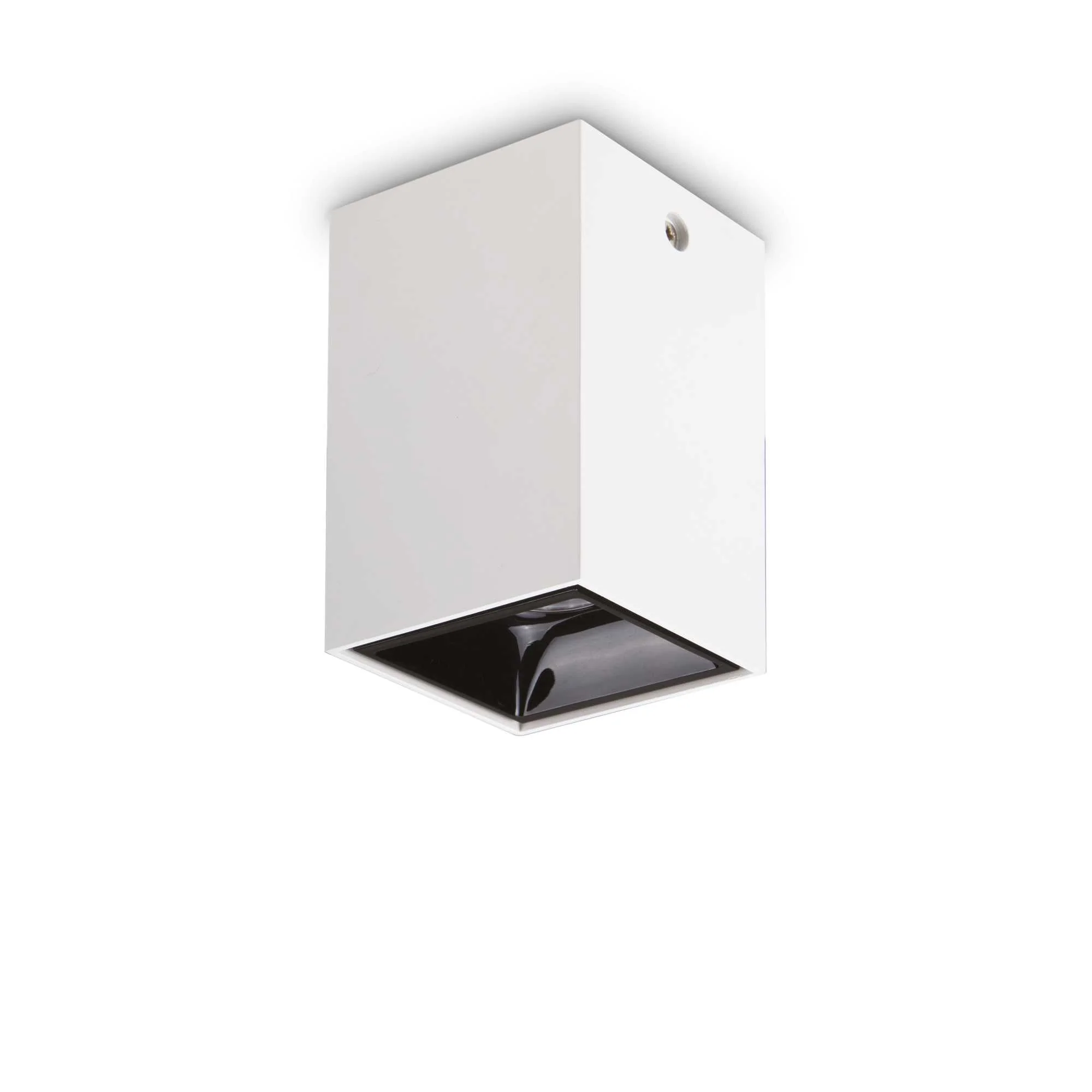 Nitro 1Lt Small/Large Round Spotlight IP20  - Black/White - Image 4
