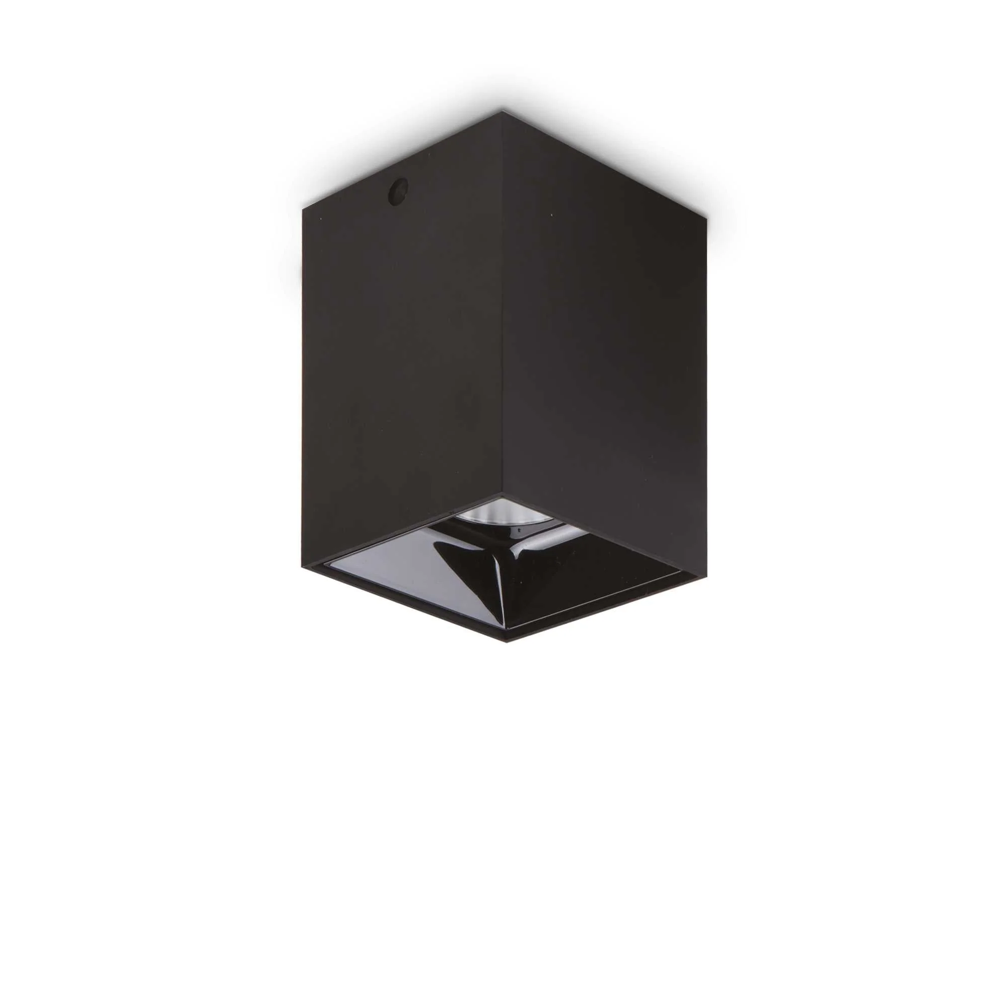 Nitro 1Lt Small/Large Round Spotlight IP20  - Black/White - Image 5