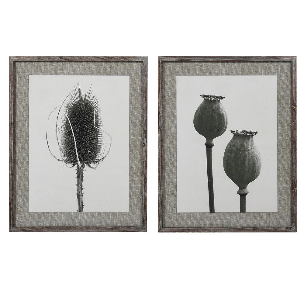 Highland Glass Framed Art