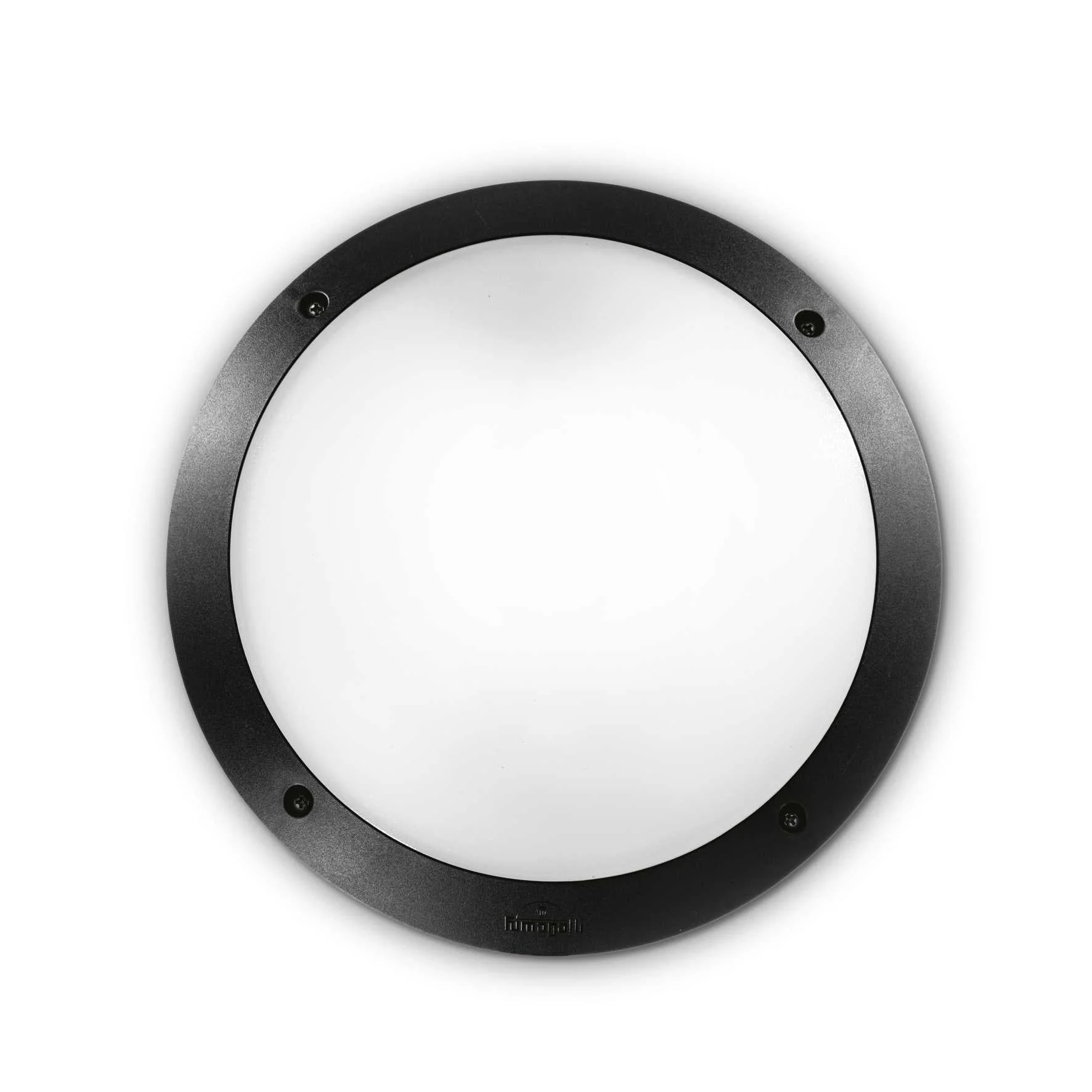 Polar Wall Light - White/Black Finish - Image 2