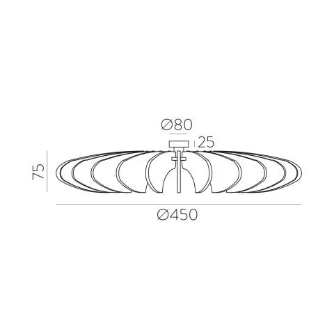 Rosa Del Desierto Wall lamp- Small/ Large - Image 8