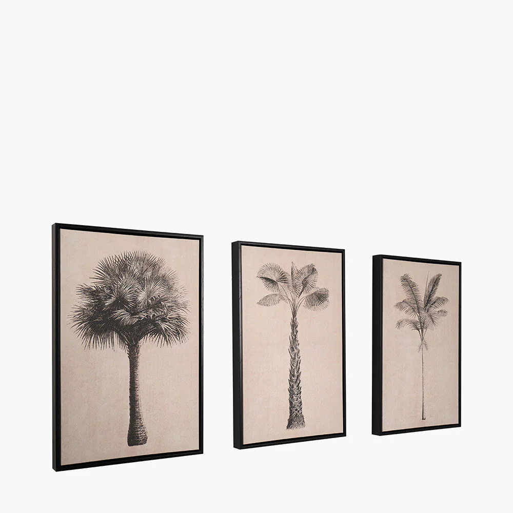 S/3 Natural and Black Palm Tree Print Canvases with Black Frames - Image 6