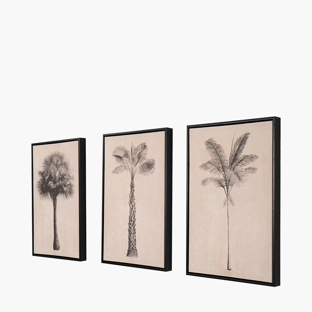 S/3 Natural and Black Palm Tree Print Canvases with Black Frames - Image 7