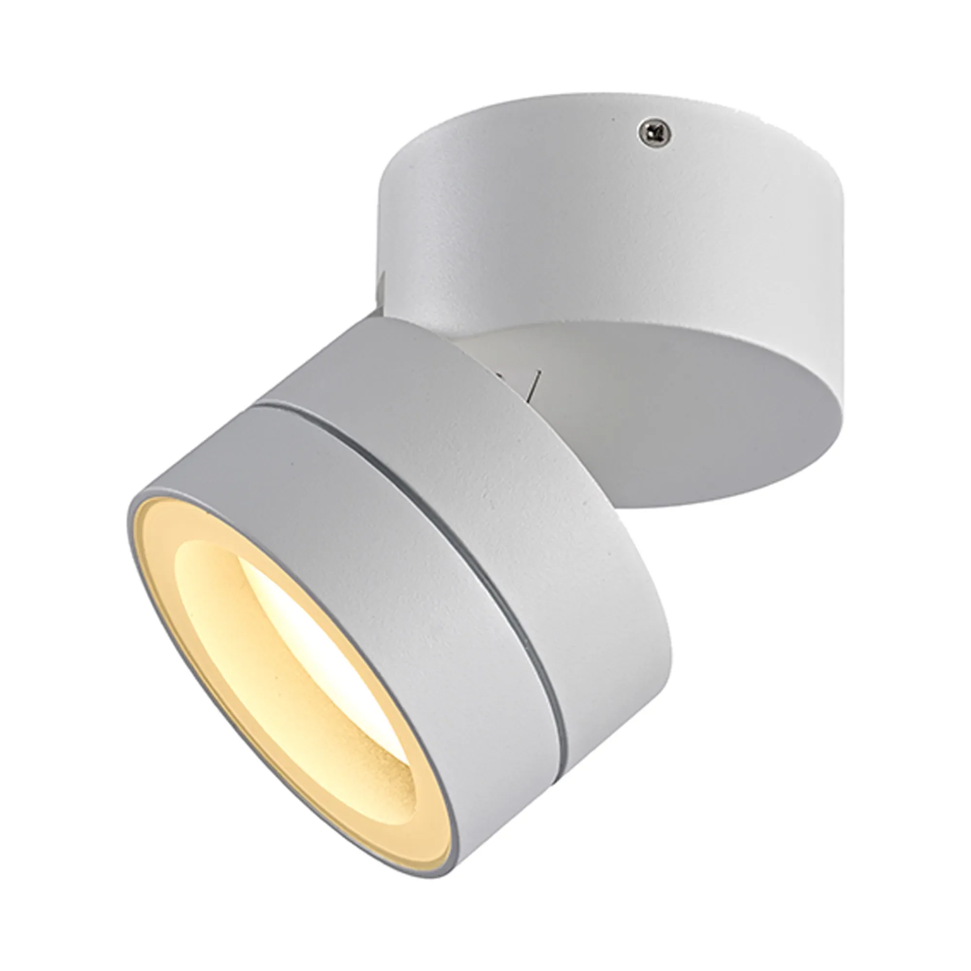 Saler Adjustable Outdoor Ceiling Spotlight/Wall Light- Various Finishes - Image 10