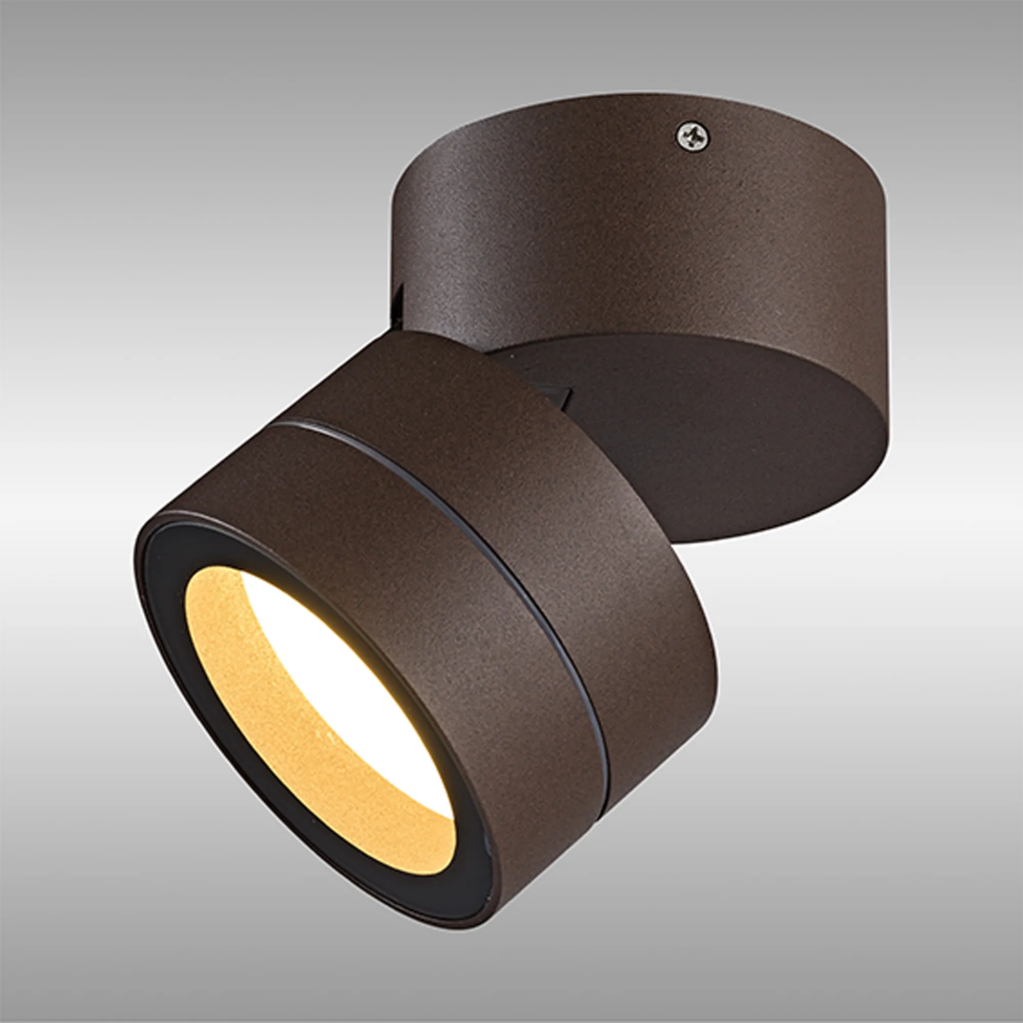 Saler Adjustable Outdoor Ceiling Spotlight/Wall Light- Various Finishes - Image 13