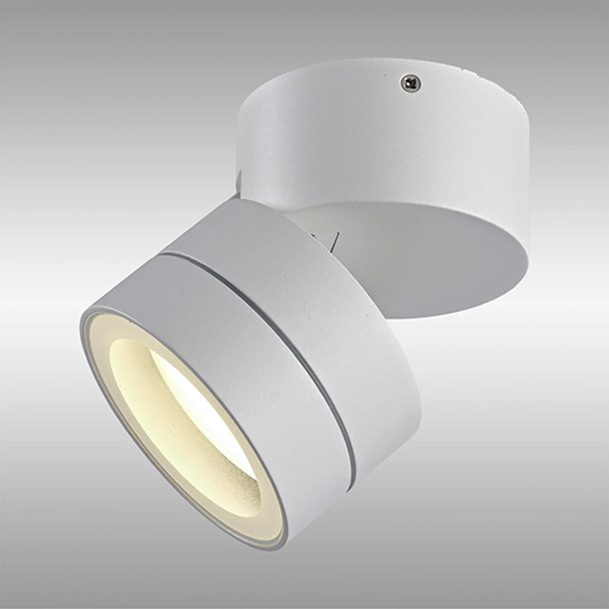 Saler Adjustable Outdoor Ceiling Spotlight/Wall Light- Various Finishes - Image 15