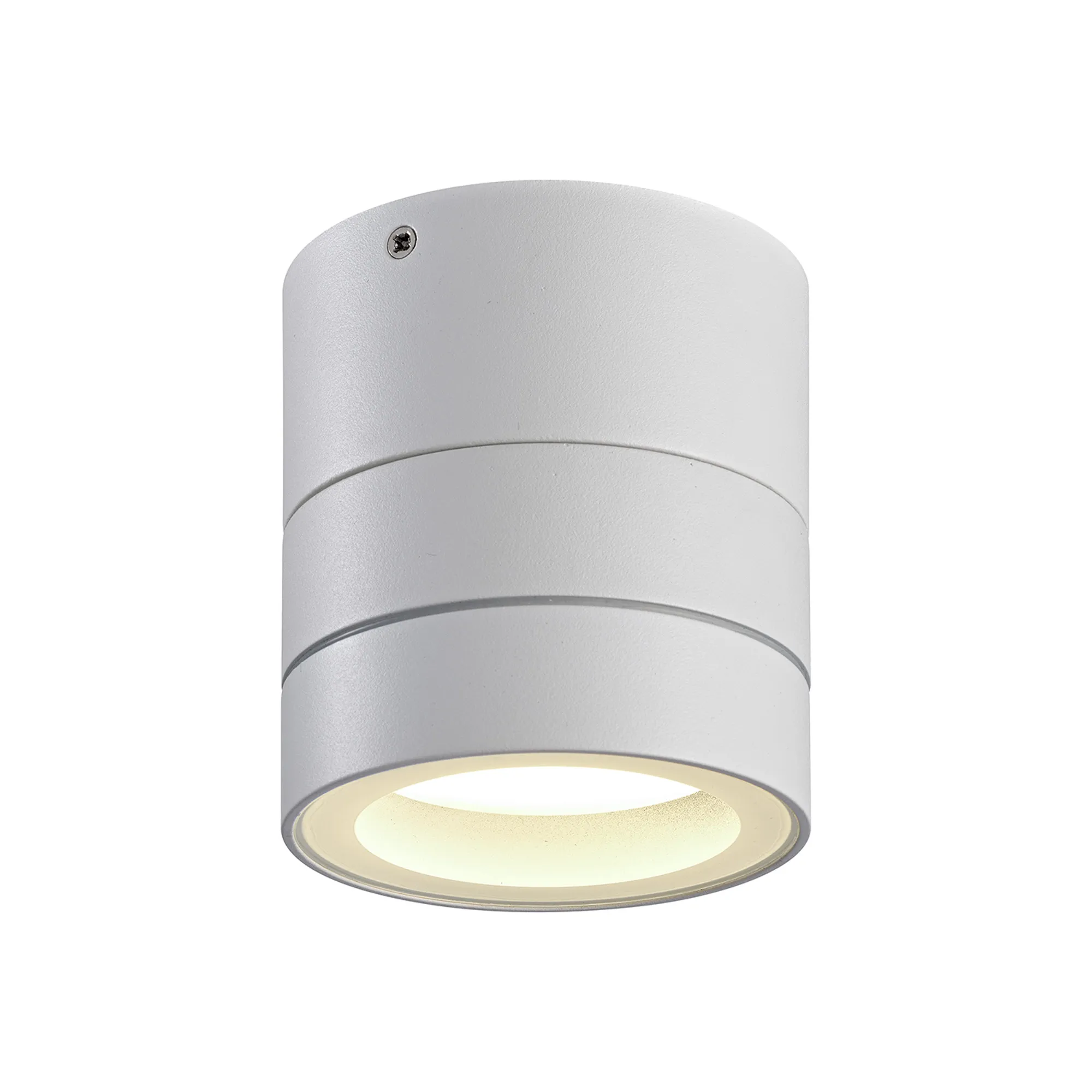 Saler Adjustable Outdoor Ceiling Spotlight/Wall Light- Various Finishes - Image 16