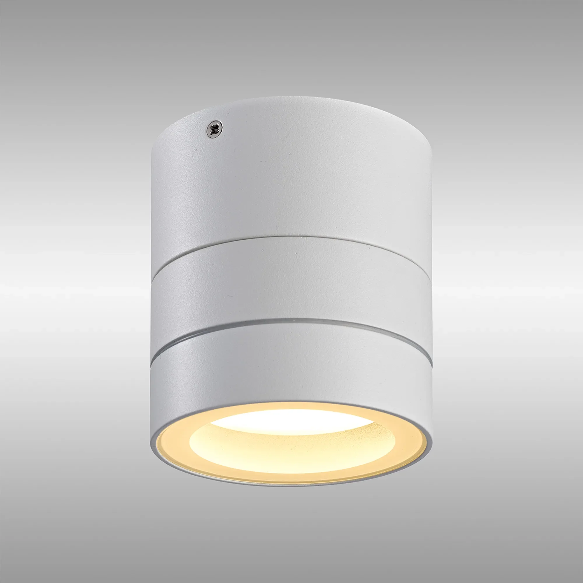 Saler Adjustable Outdoor Ceiling Spotlight/Wall Light- Various Finishes - Image 18