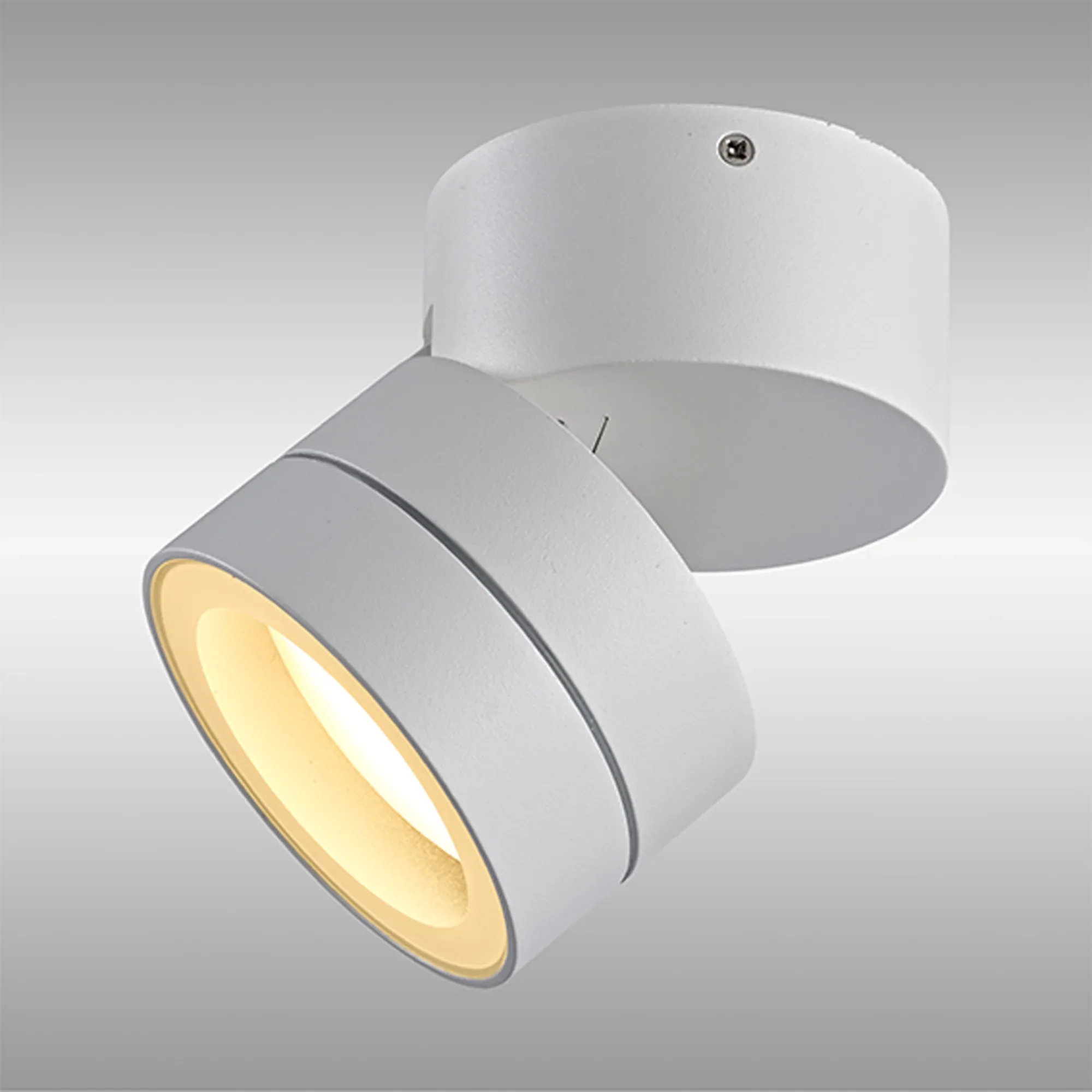 Saler Adjustable Outdoor Ceiling Spotlight/Wall Light- Various Finishes - Image 19