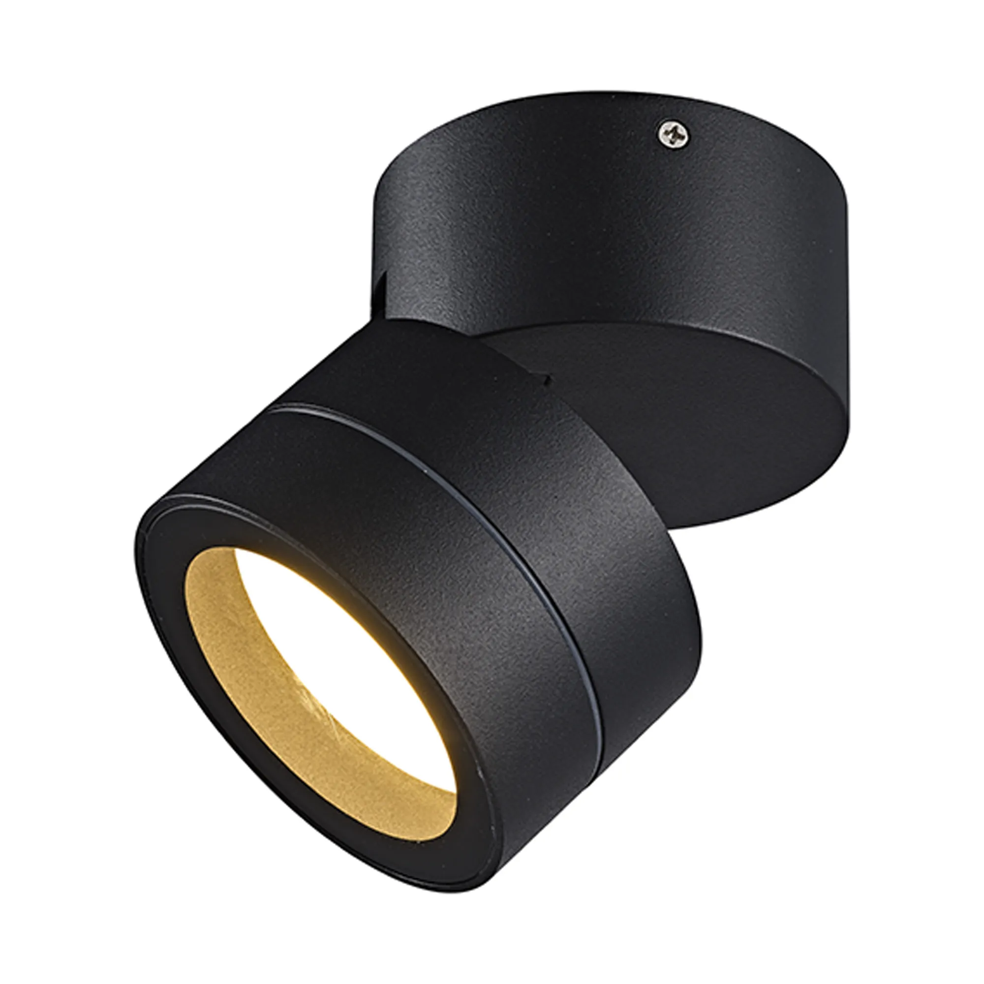 Saler Adjustable Outdoor Ceiling Spotlight/Wall Light- Various Finishes - Image 2